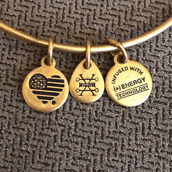 🆕 Alex and Ani ‘Compass II’ Charm Bangle 🧭 - Picture 5 of 8